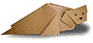 gấp giấy origami nhật bản