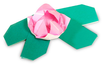 hướng dẫn cách gấp hoa súng